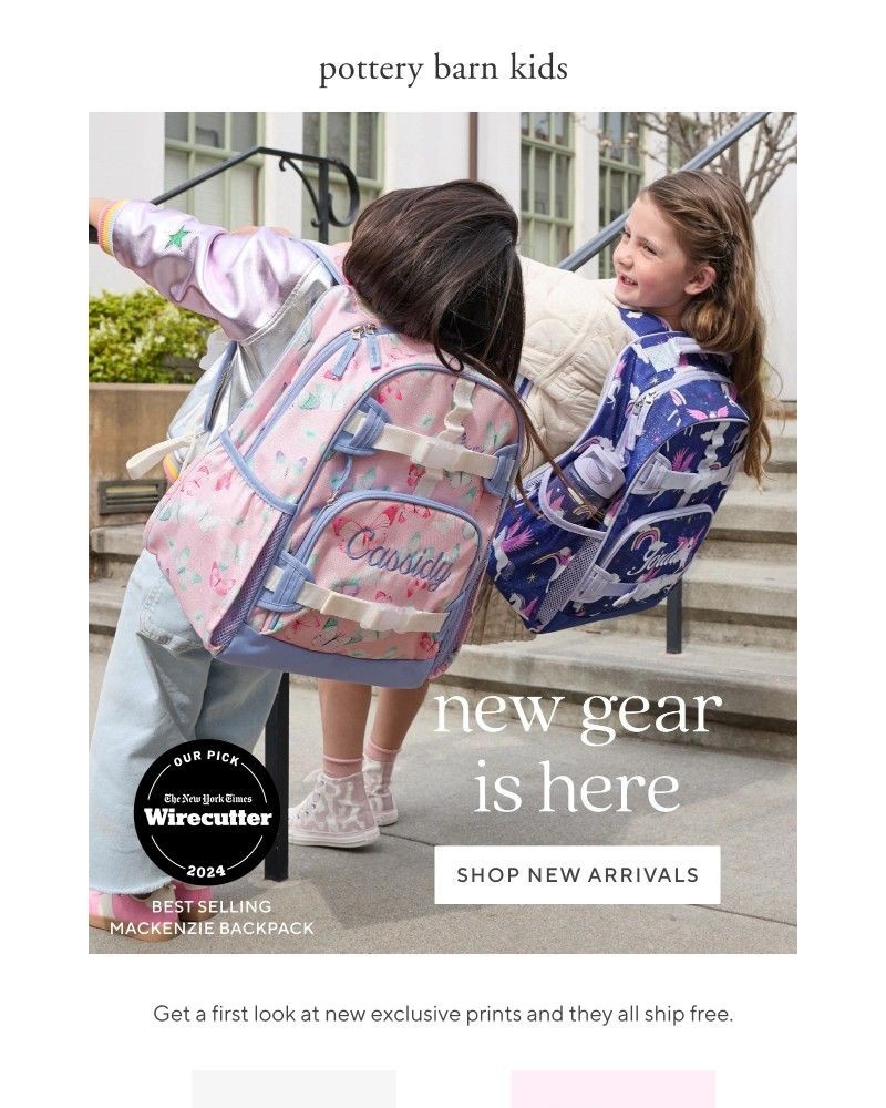 Screenshot of email with subject /media/emails/new-backpacks-are-here-they-all-ship-free-f84999-cropped-0e4b6b06.jpg