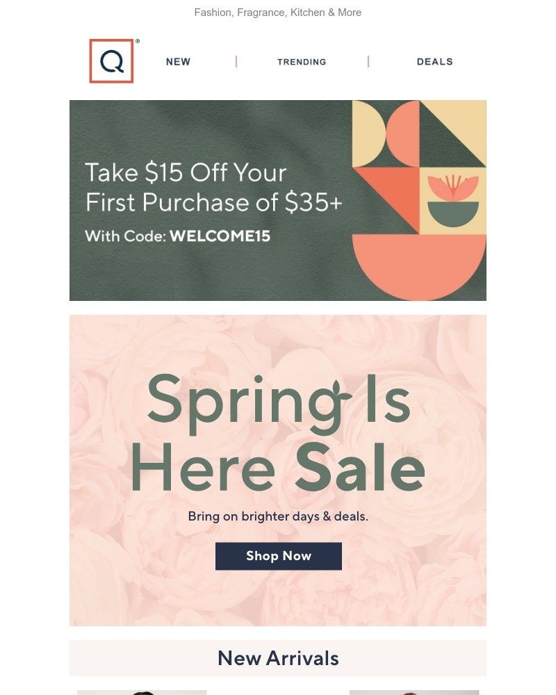 Screenshot of email with subject /media/emails/new-bargains-just-bloomed-a7f80b-cropped-7a1e52d8.jpg