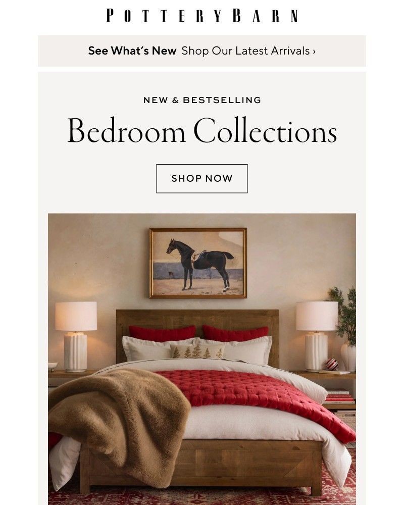 Screenshot of email with subject /media/emails/new-bestselling-bedroom-collections-eeadcb-cropped-97688632.jpg