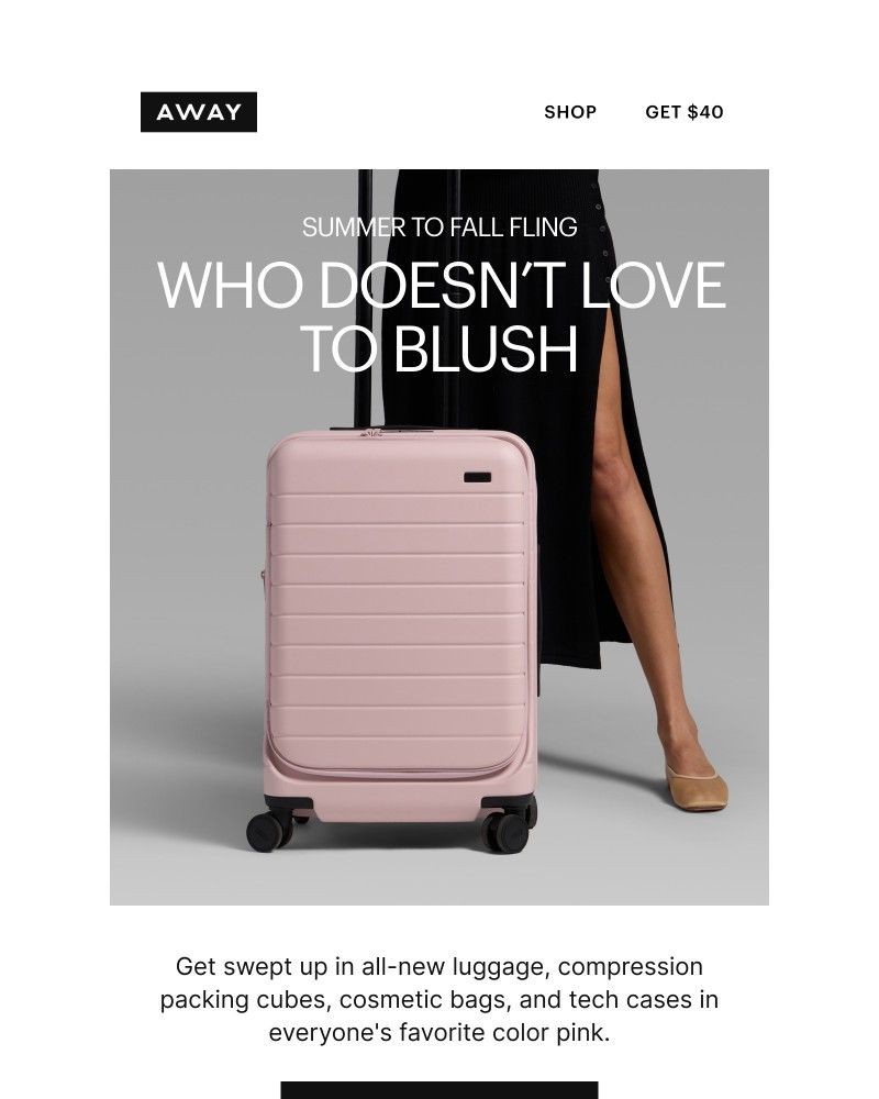 Screenshot of email with subject /media/emails/new-blush-pink-favorites-to-love-141974-cropped-8f6deb05.jpg