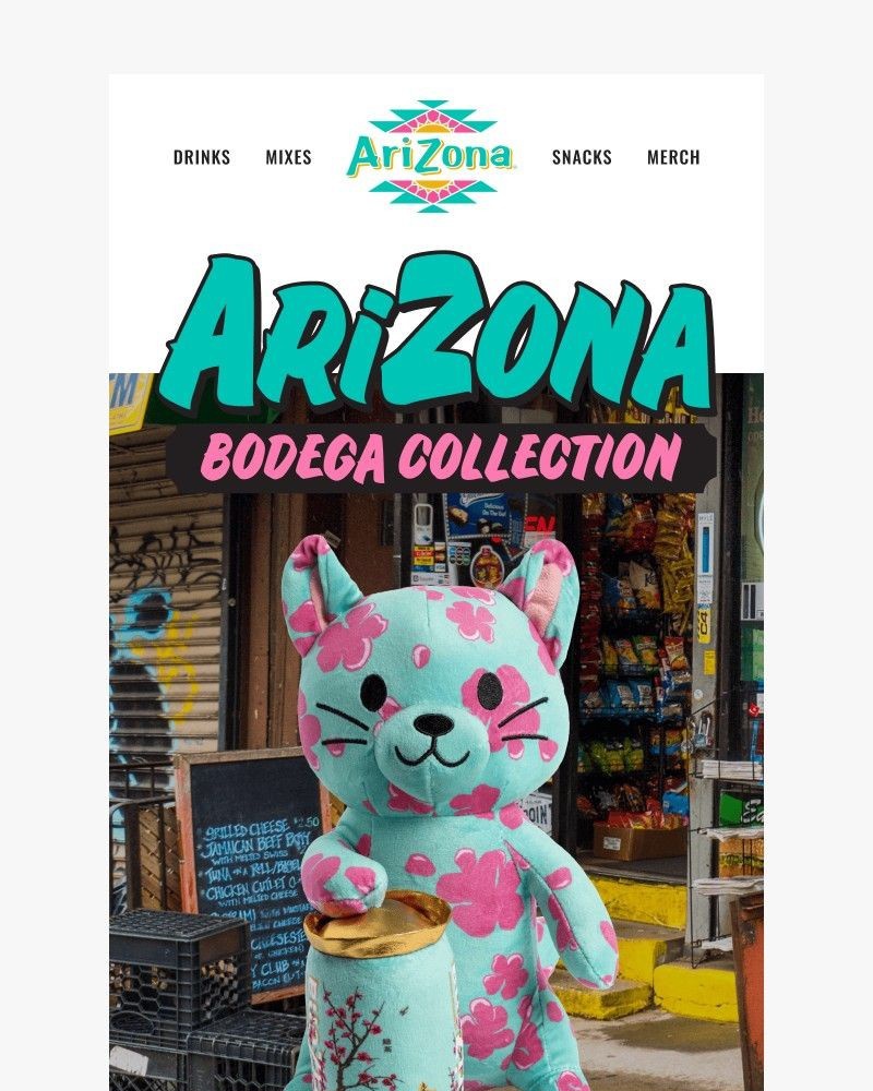 Screenshot of email sent to a AriZona Newsletter subscriber