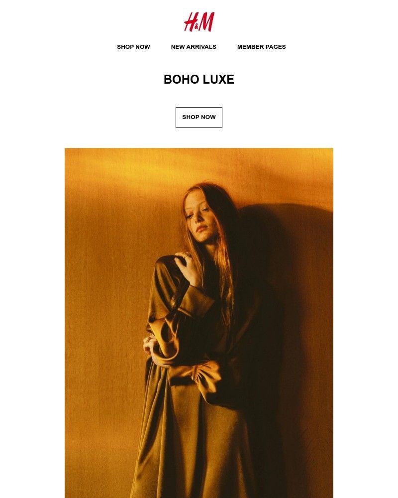 Screenshot of email with subject /media/emails/new-boho-luxe-643939-cropped-78a6bbc9.jpg