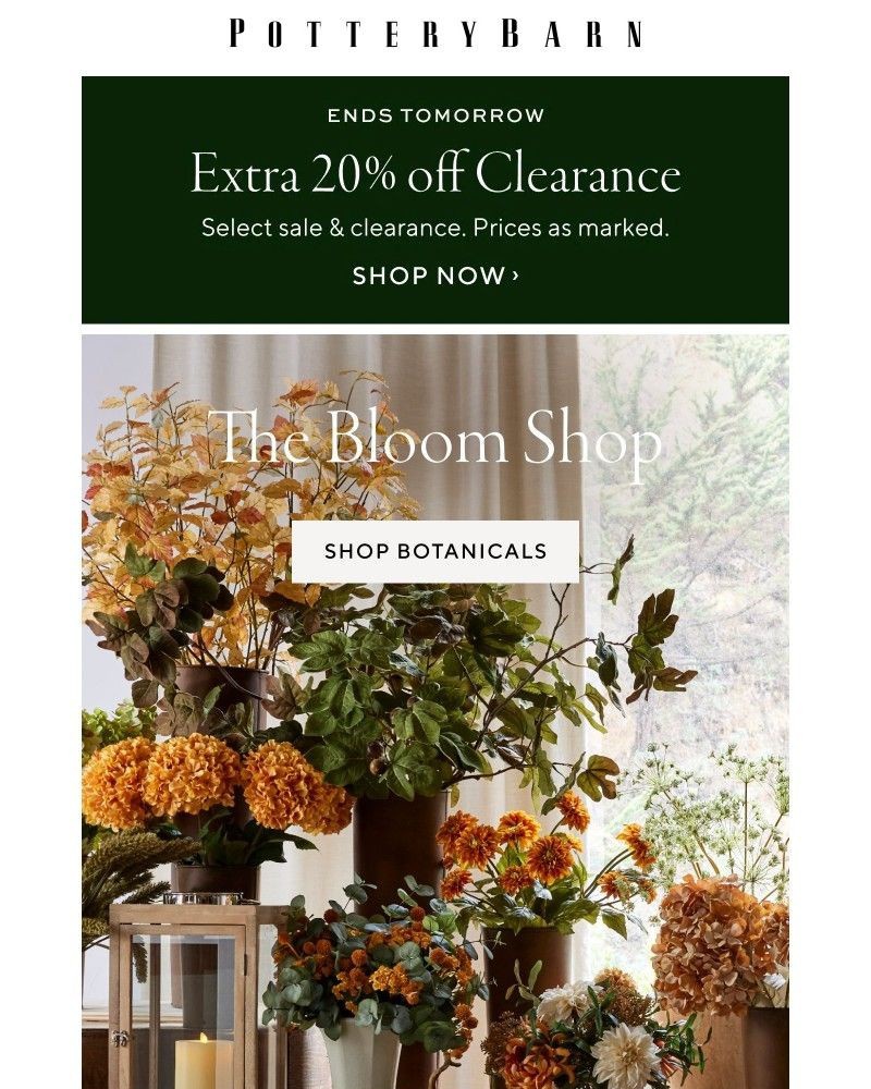 Screenshot of email with subject /media/emails/new-botanicals-effortless-impact-5d3e96-cropped-d6ed383f.jpg