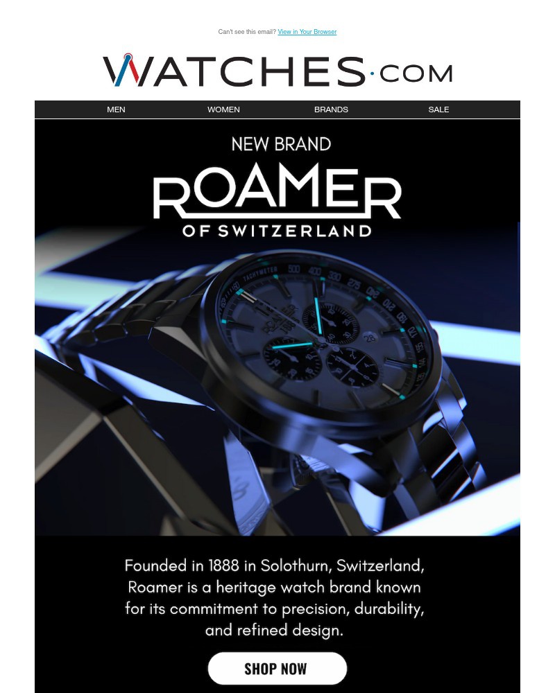 Screenshot of email sent to a Watches.com Newsletter subscriber