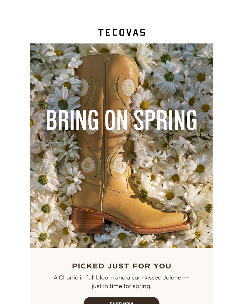 Screenshot of email sent to a Tecovas Newsletter subscriber