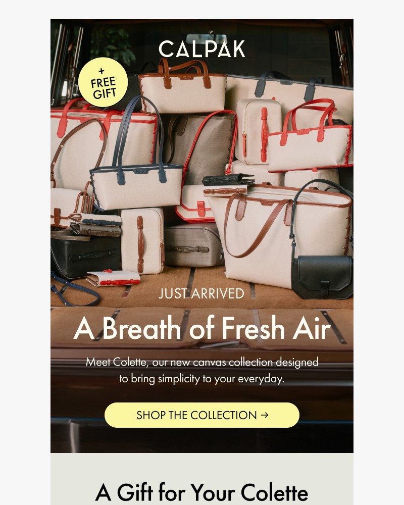 Screenshot of email sent to a Calpak Newsletter subscriber