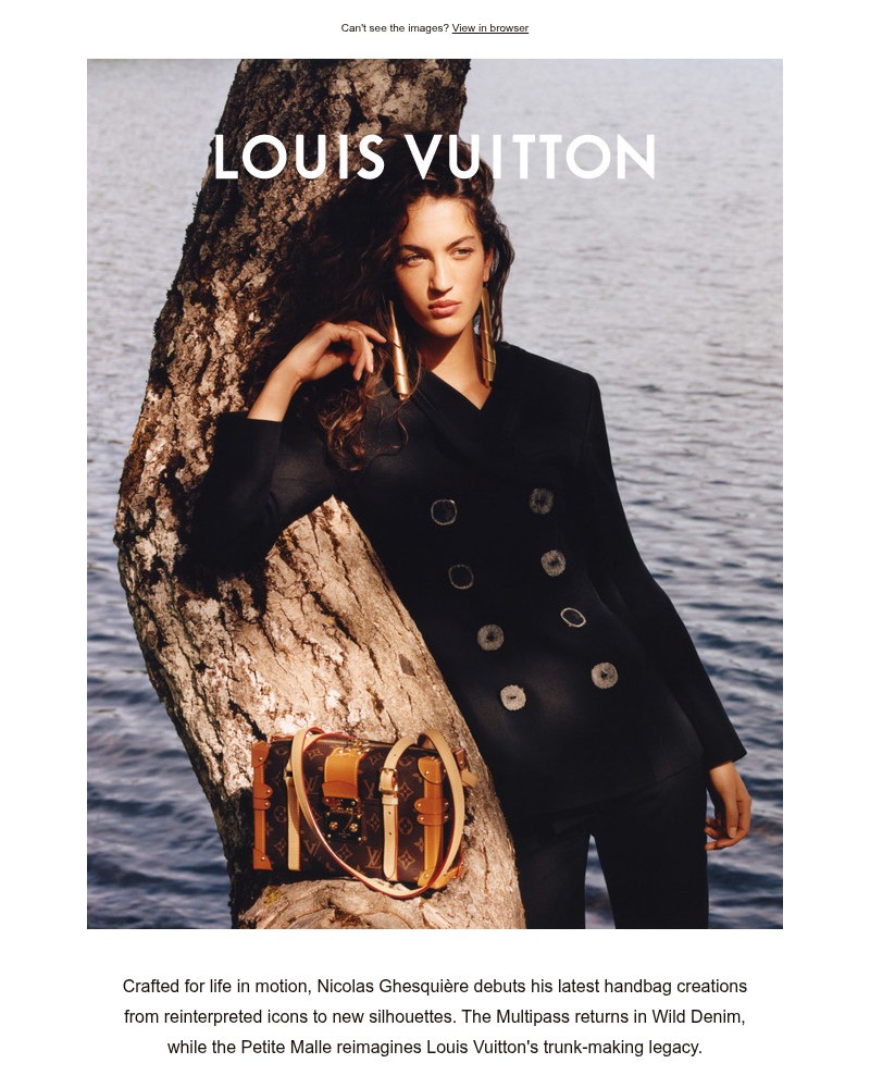 Screenshot of email sent to a Louis Vuitton Newsletter subscriber