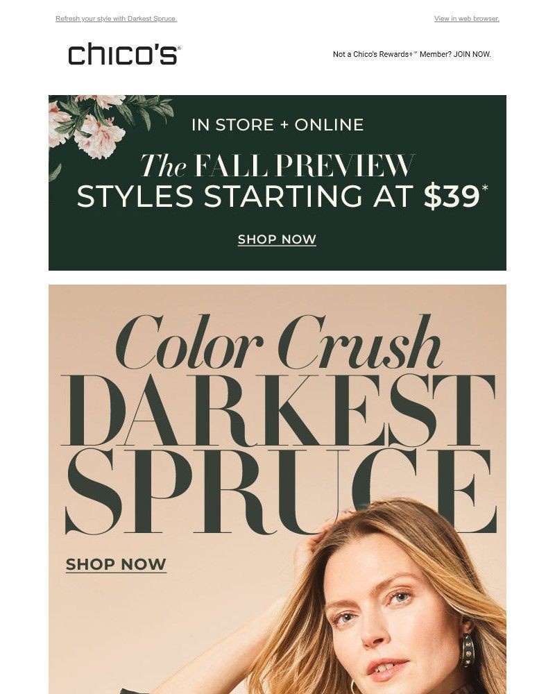 Screenshot of email with subject /media/emails/new-color-crush-dc09cc-cropped-8004acd6.jpg