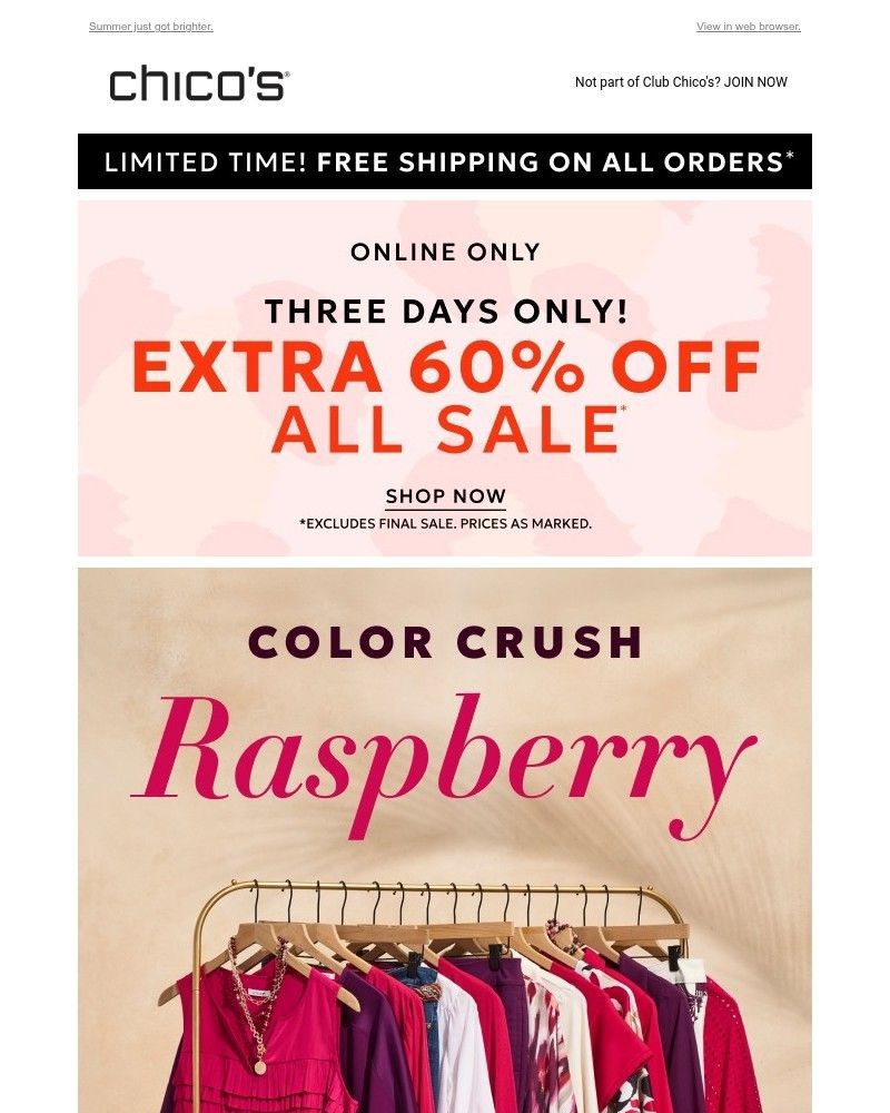 Screenshot of email with subject /media/emails/new-color-crush-extra-60-off-sale-b6b49e-cropped-8f465e09.jpg