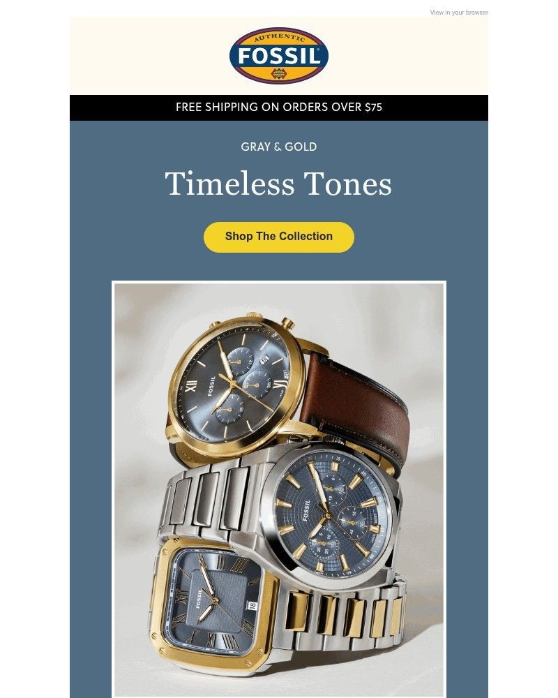 Screenshot of email sent to a Fossil Newsletter subscriber