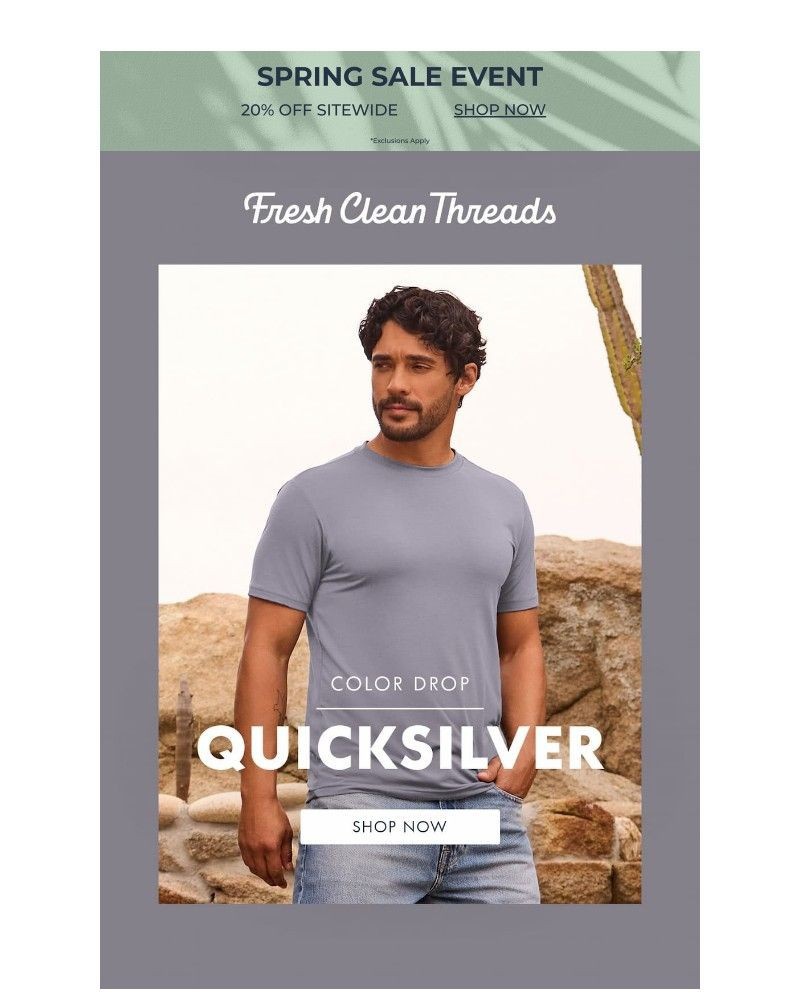 Screenshot of email with subject /media/emails/new-color-quicksilver-25afa3-cropped-1006b622.jpg