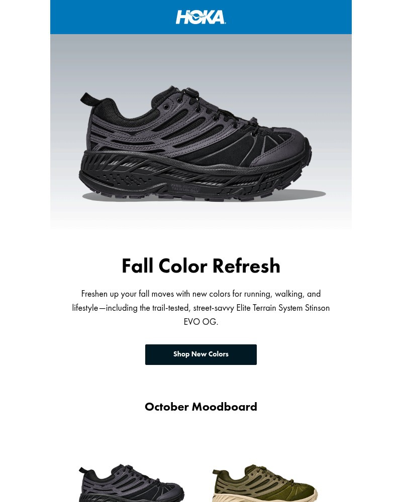 Screenshot of email with subject /media/emails/new-colors-have-landed-5f61a9-cropped-03e1fbc9.jpg