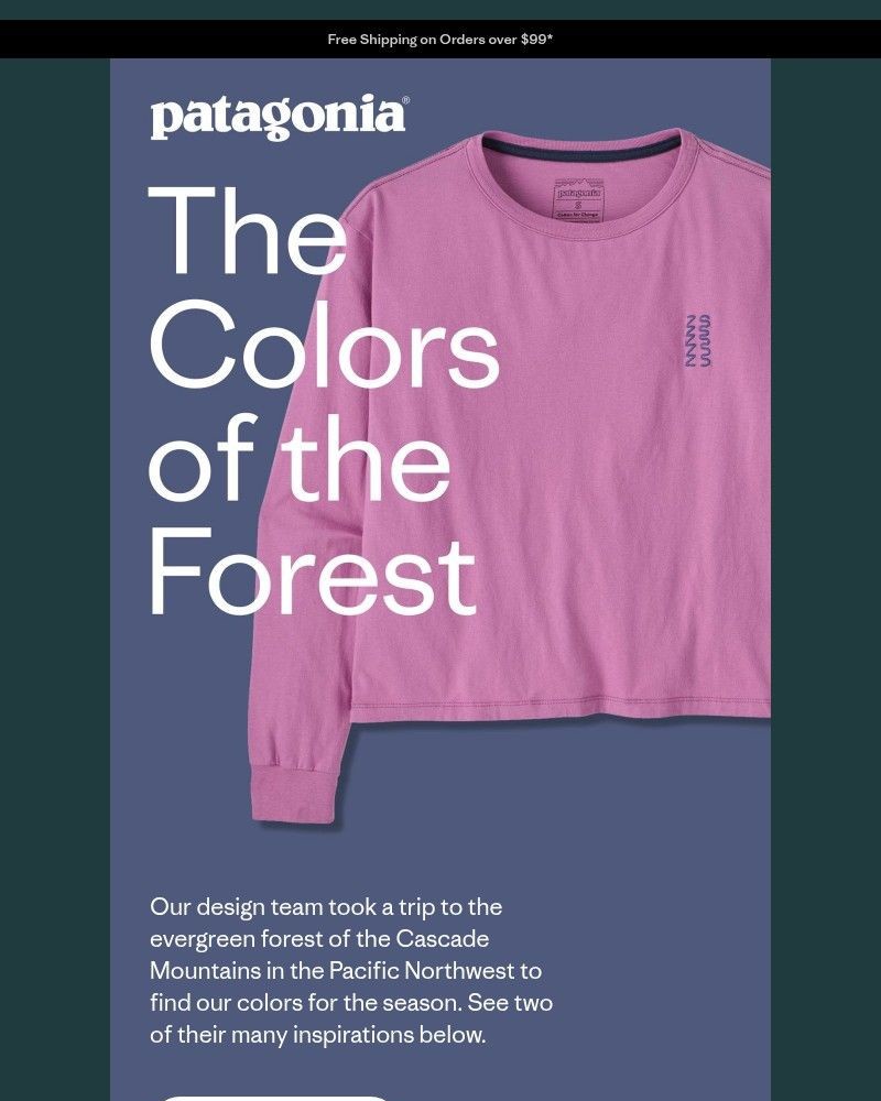 Screenshot of email with subject /media/emails/new-colors-inspired-by-the-pacific-northwest-48ba5d-cropped-d6635993.jpg