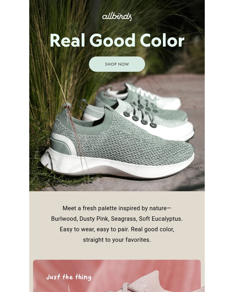 Screenshot of email with subject /media/emails/new-colors-no-notes-f2c0db-cropped-d4cd9602.jpg