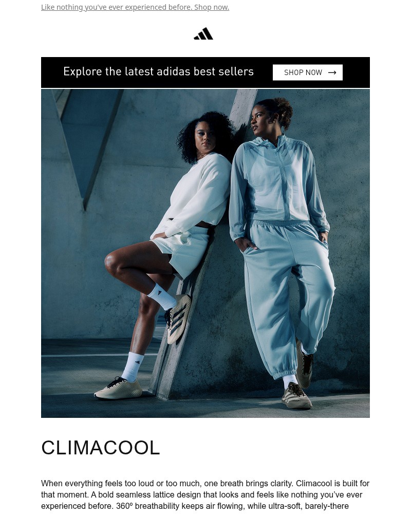 Screenshot of email sent to a Adidas Newsletter subscriber