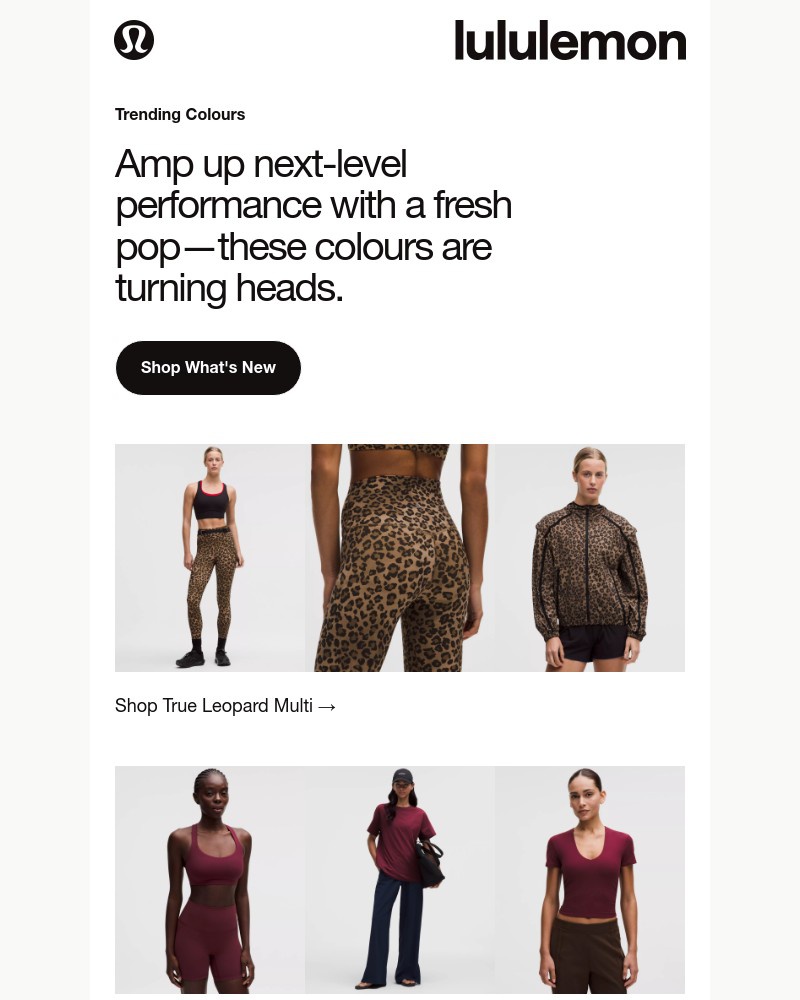 Screenshot of email with subject /media/emails/new-colours-popping-off-b7e0a8-cropped-2dd06ca7.jpg