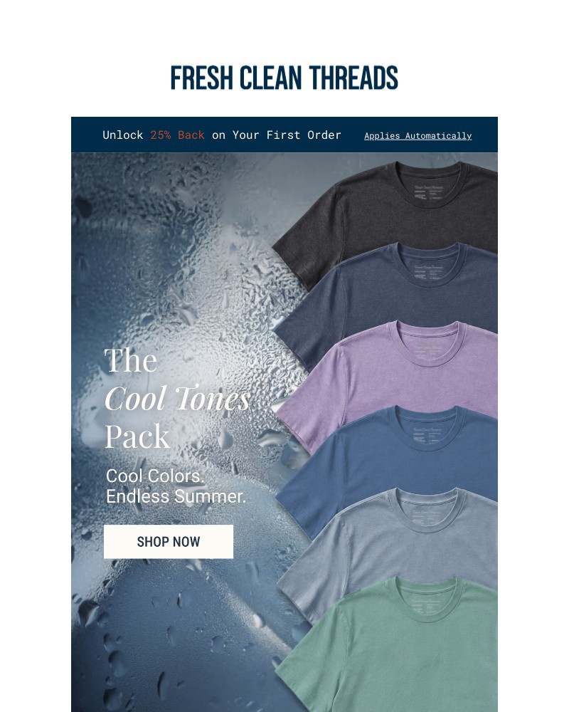 Screenshot of email sent to a Fresh Clean Threads Newsletter subscriber