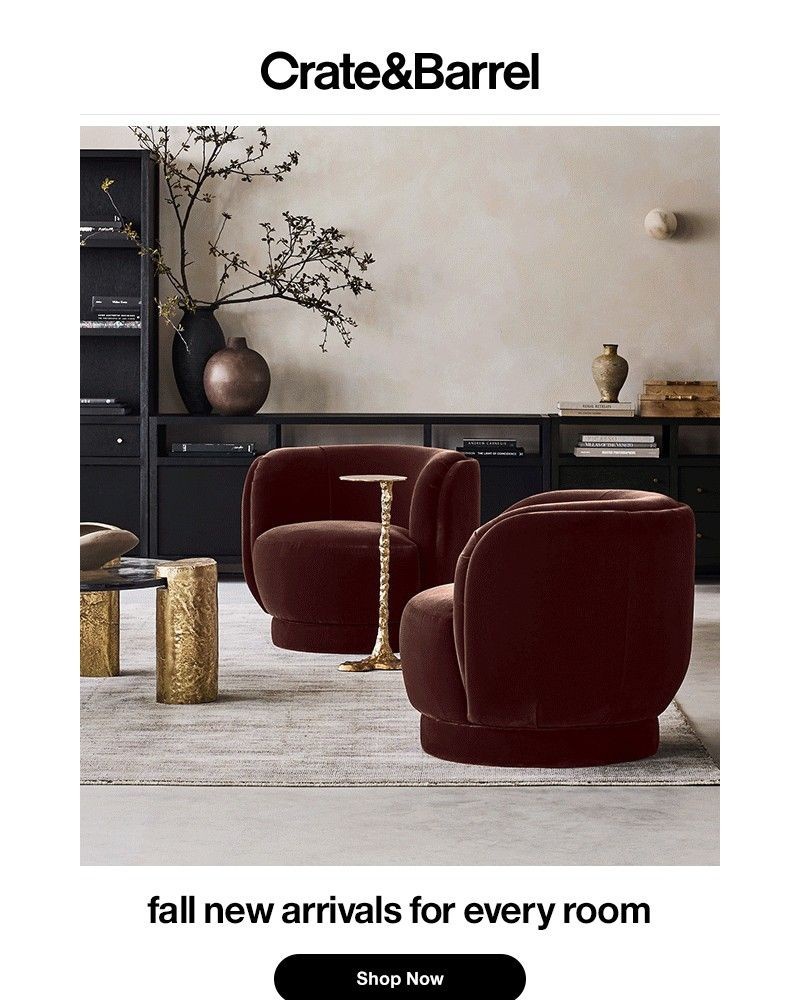 Screenshot of email with subject /media/emails/new-cozy-fall-vibes-just-arrived-d2ca49-cropped-bbc64ceb.jpg