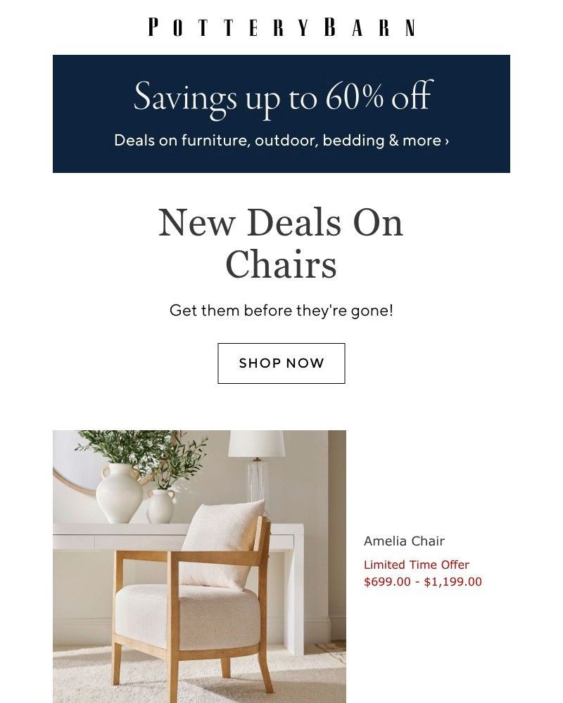 Screenshot of email sent to a Williams Sonoma Newsletter subscriber