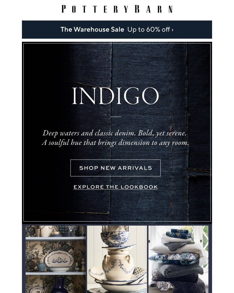 Screenshot of email with subject /media/emails/new-deals-up-to-60-off-color-of-the-moment-indigo-blue-c07d2b-cropped-314fad17.jpg