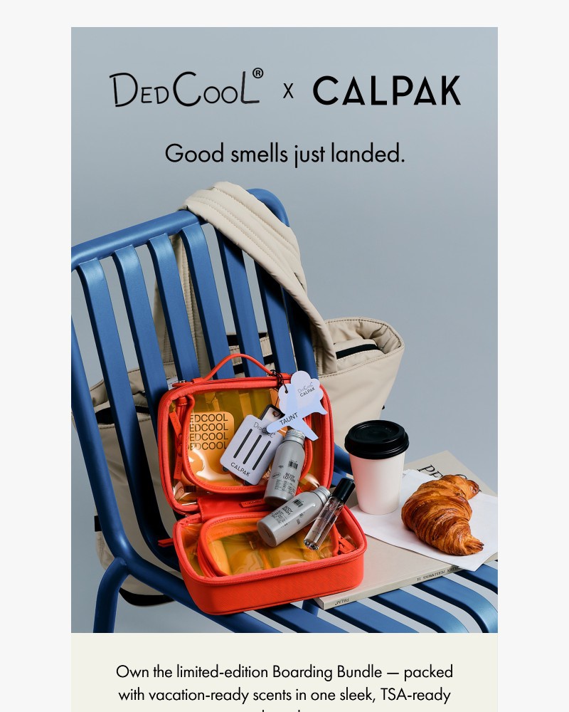Screenshot of email sent to a Calpak Newsletter subscriber