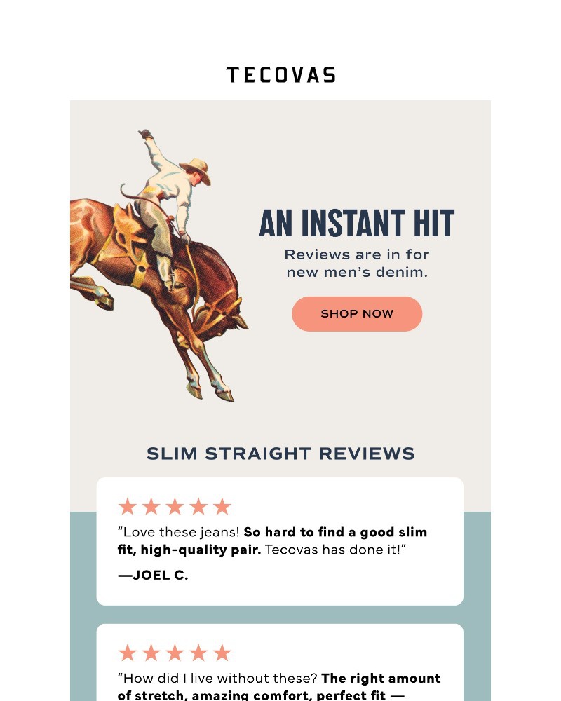 Screenshot of email with subject /media/emails/new-denim-reviews-are-in-54c642-cropped-f6cdc8b6.jpg