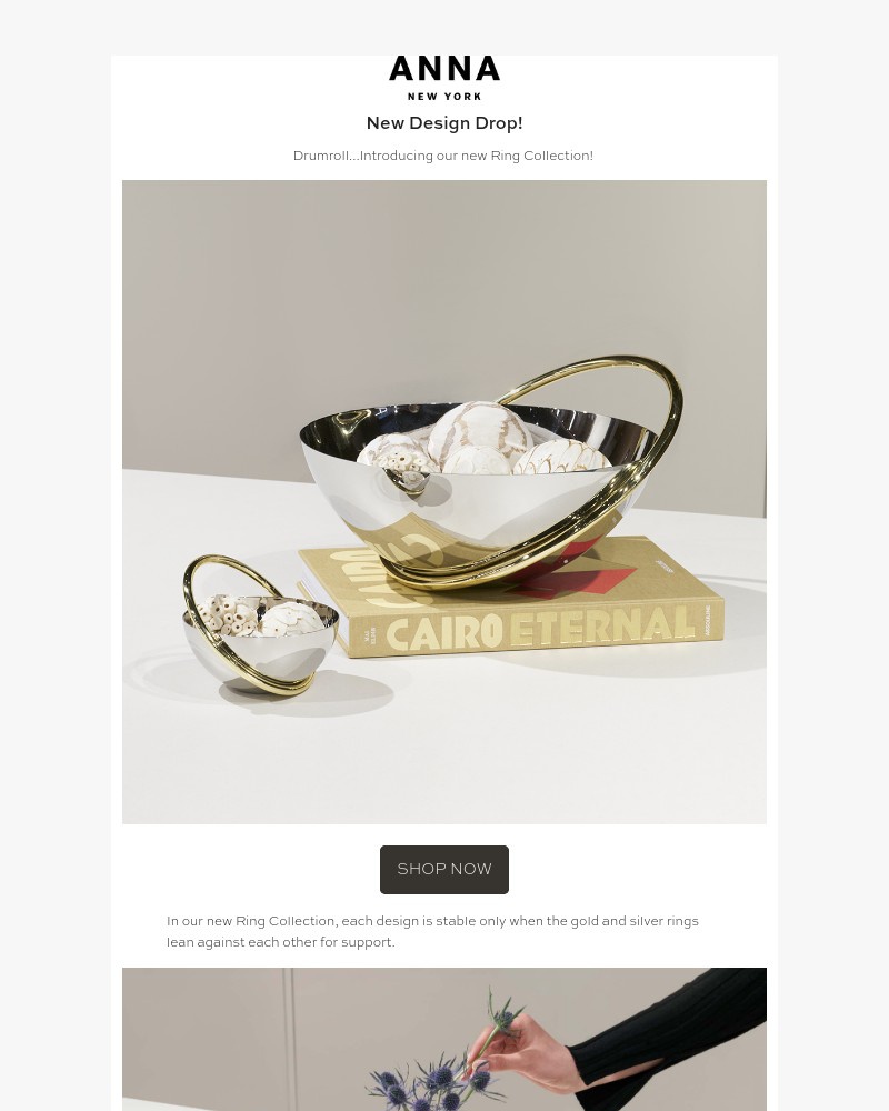 Screenshot of email with subject /media/emails/new-design-drop-36f57a-cropped-bf4d32d1.jpg
