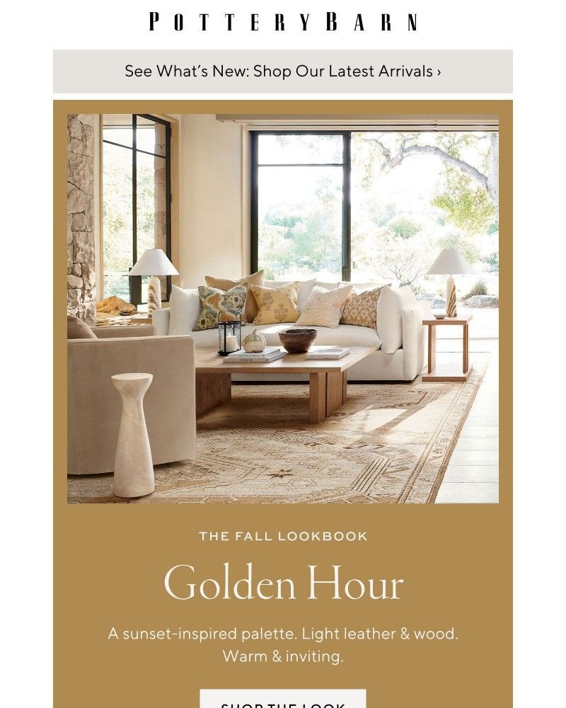 Screenshot of email with subject /media/emails/new-designs-inspired-by-autumn-glow-3802a5-cropped-6f65d927.jpg