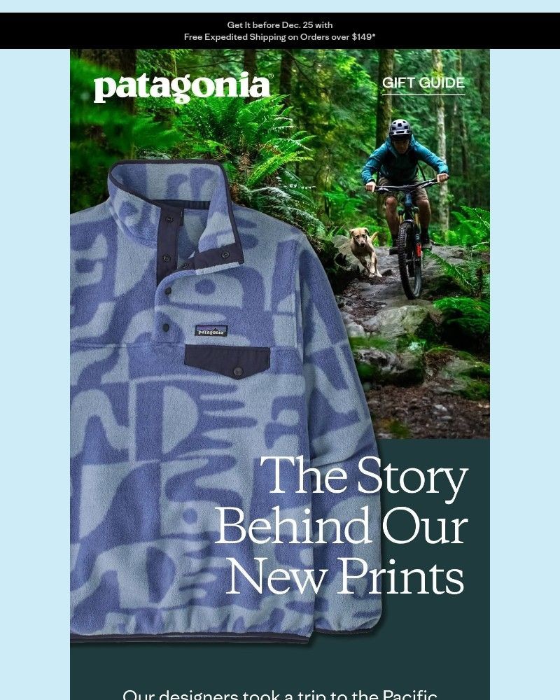 Screenshot of email sent to a Patagonia Newsletter subscriber