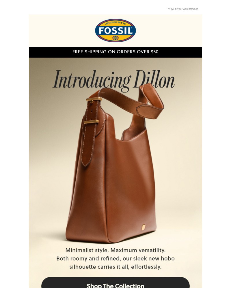 Screenshot of email with subject /media/emails/new-dillon-hobo-9d8ff9-cropped-276a9fea.jpg