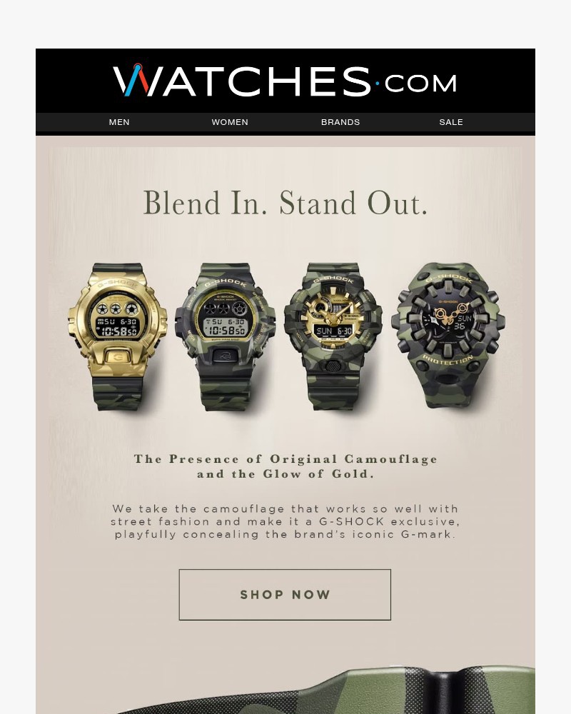 Screenshot of email sent to a Watches.com Newsletter subscriber