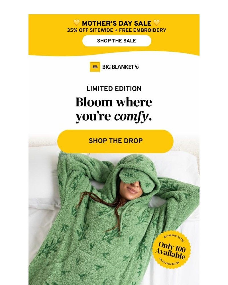 Screenshot of email sent to a Big Blanket Co. Newsletter subscriber