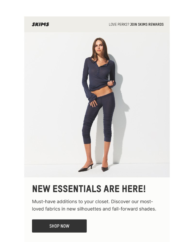 Screenshot of email with subject /media/emails/new-essentials-dc0fc5-cropped-b251f667.jpg