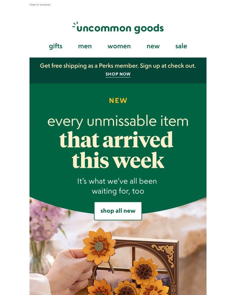 Screenshot of email with subject /media/emails/new-every-unmissable-item-that-arrived-this-week-223b7a-cropped-b11de72f.jpg