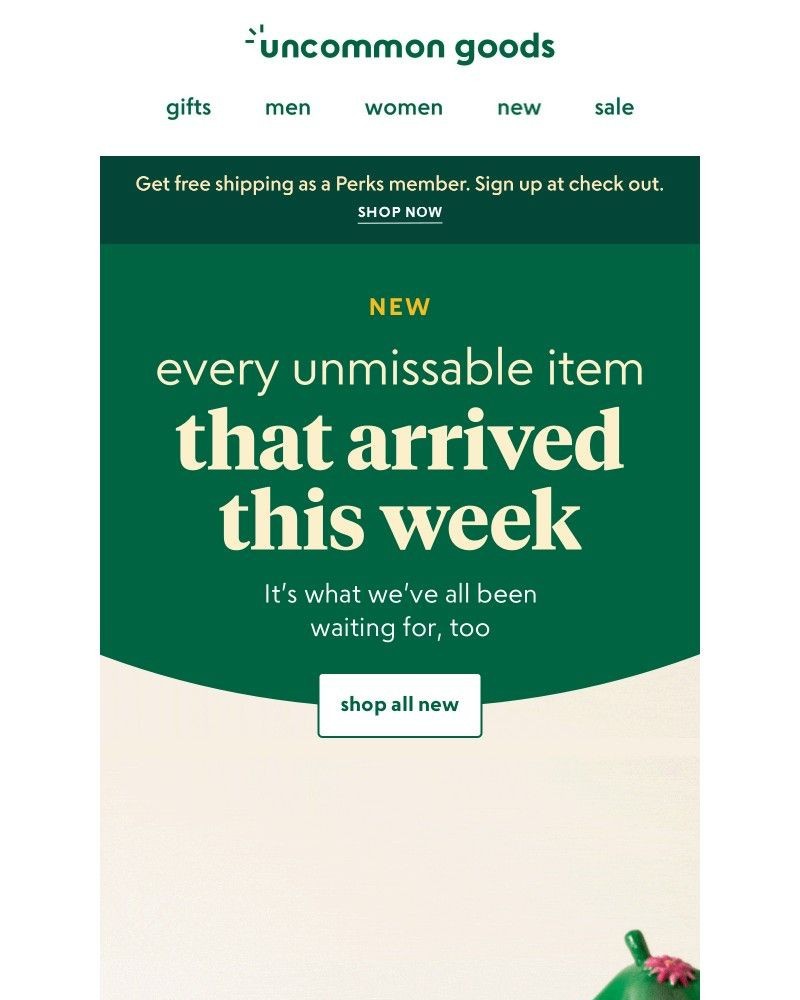 Screenshot of email with subject /media/emails/new-every-unmissable-item-that-arrived-this-week-6c6992-cropped-f8fb42ea.jpg