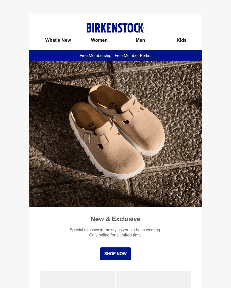 Screenshot of email with subject /media/emails/new-exclusives-only-online-for-a-limited-time-41b469-cropped-2991fde3.jpg