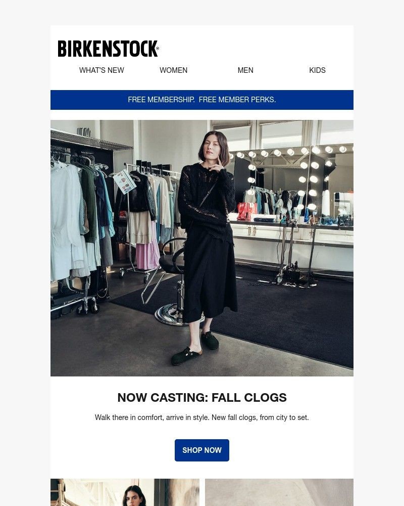 Screenshot of email with subject /media/emails/new-fall-clogs-ready-for-their-close-up-c5ff3a-cropped-435d7c14.jpg