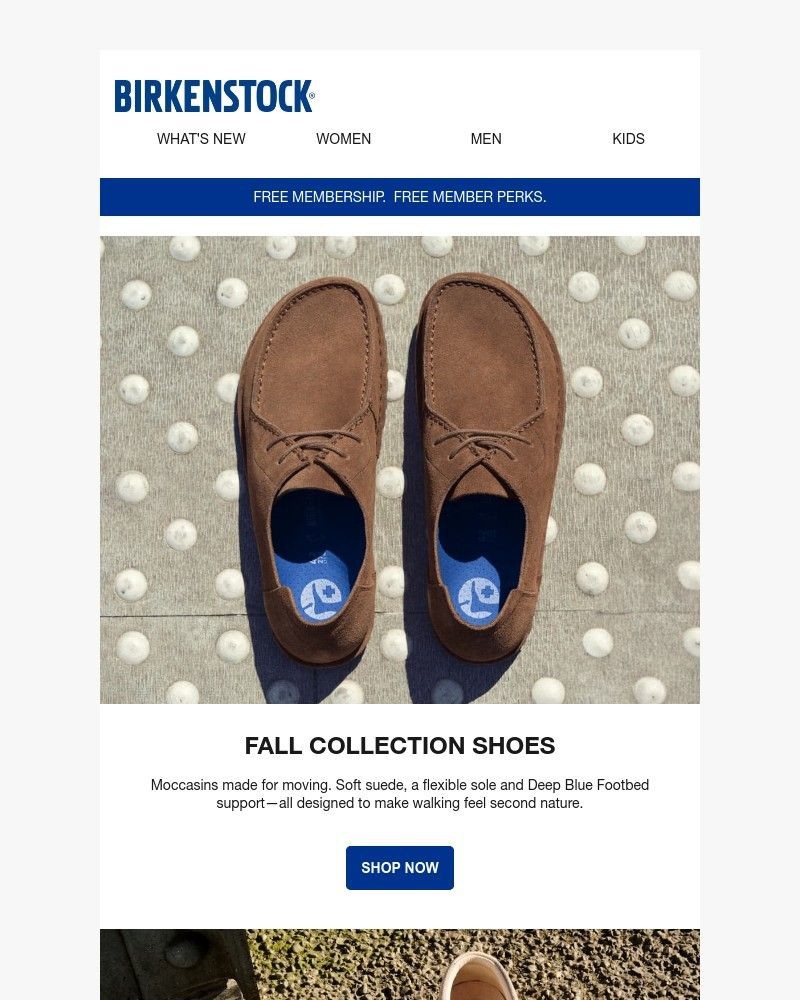 Screenshot of email with subject /media/emails/new-fall-collection-shoes-86b0e9-cropped-f5103de4.jpg