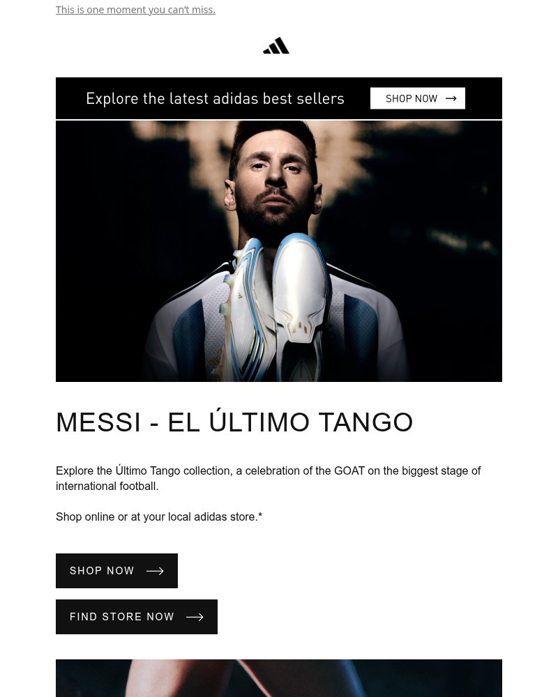 Screenshot of email sent to a Adidas Newsletter subscriber
