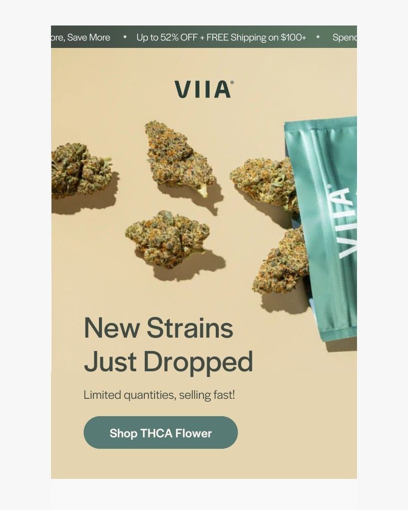 Screenshot of email with subject /media/emails/new-flower-just-dropped-4800f9-cropped-2e2a79b3.jpg