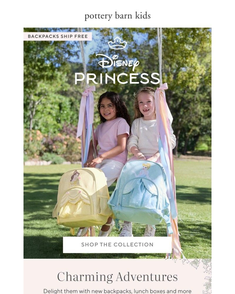 Screenshot of email with subject /media/emails/new-for-disney-princess-character-fans-23b2de-cropped-79322447.jpg