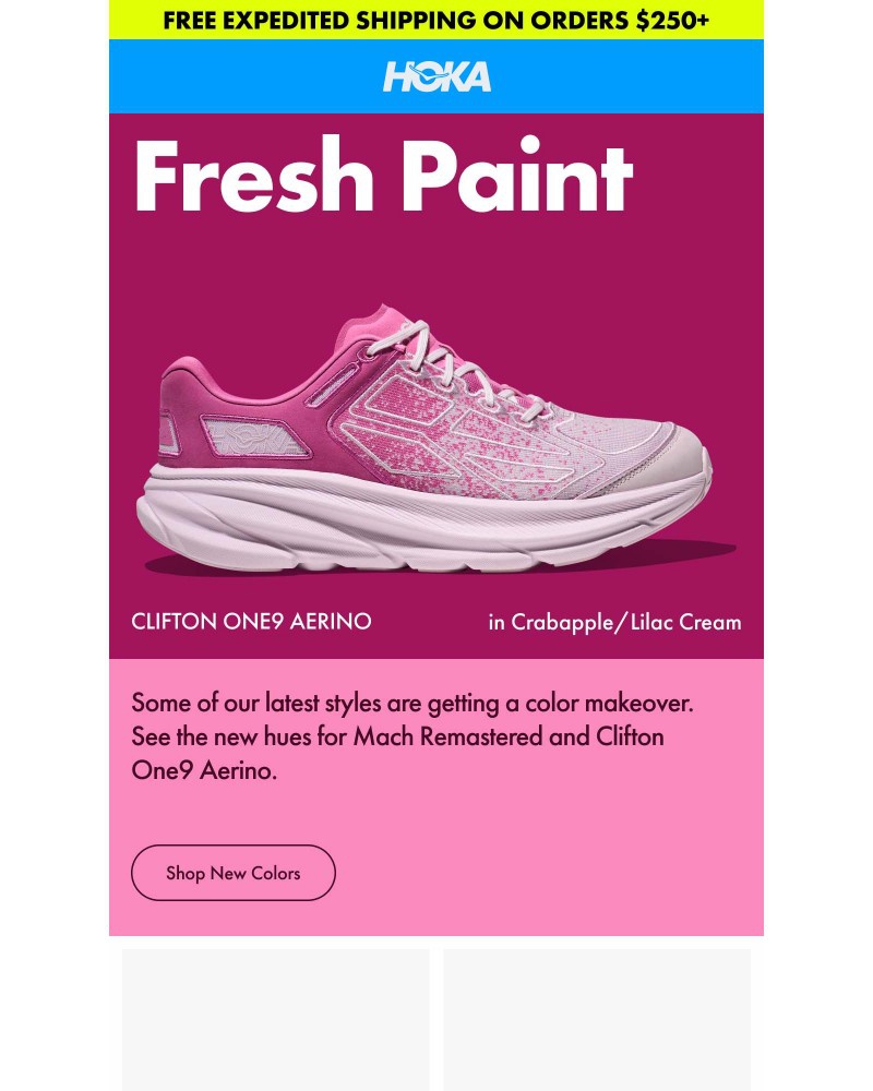 Screenshot of email sent to a Hoka Newsletter subscriber