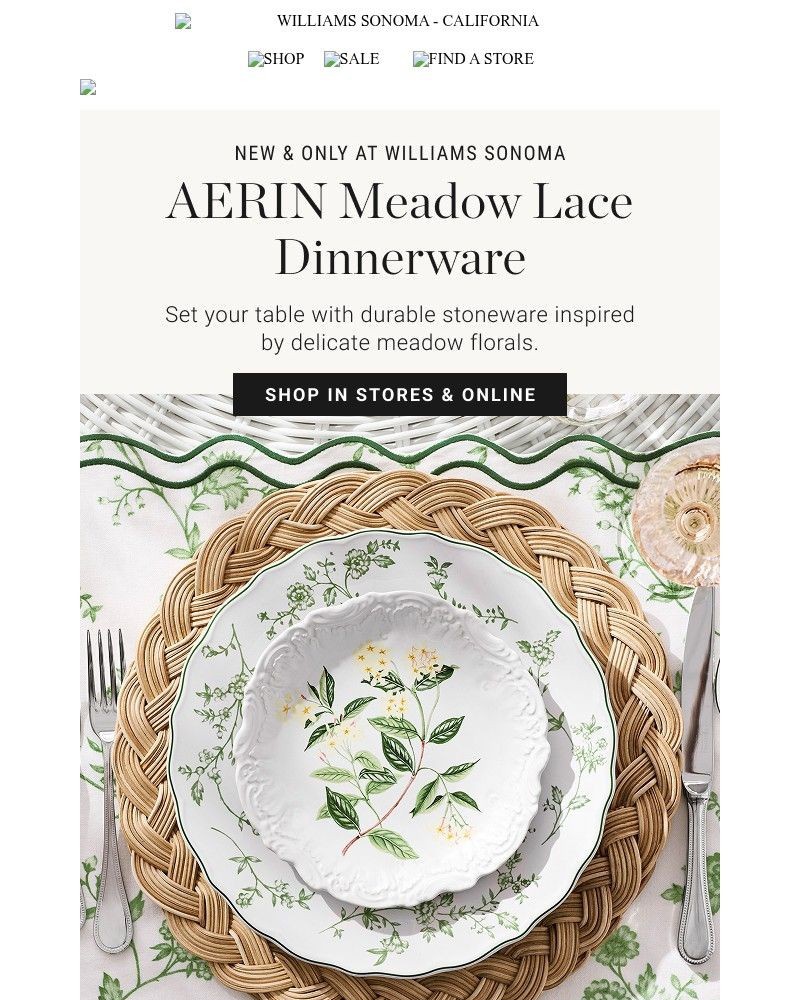 Screenshot of email with subject /media/emails/new-from-aerin-meadow-lace-dinnerware-120017-cropped-dd5c1c67.jpg