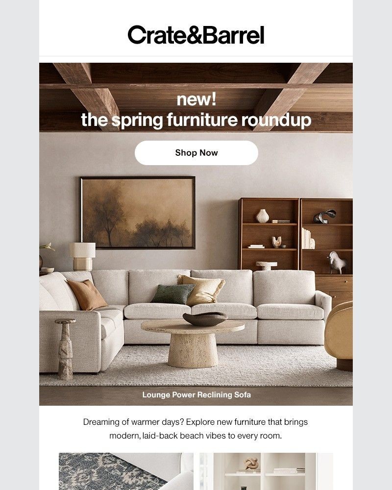 Screenshot of email sent to a Crate & Barrel Newsletter subscriber