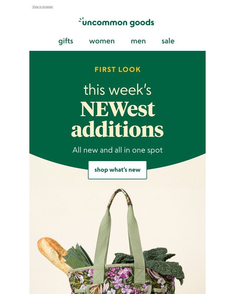 Screenshot of email with subject /media/emails/new-gifts-just-landed-25f221-cropped-116ede8a.jpg