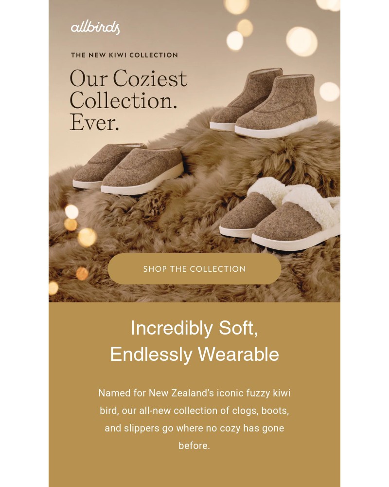 Screenshot of email with subject /media/emails/new-go-everywhere-cozy-shoes-25ebaf-cropped-8d05ebcd.jpg