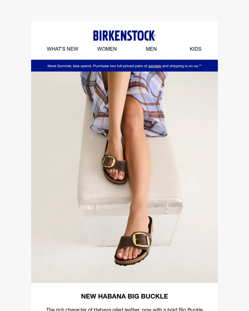 Screenshot of email with subject /media/emails/new-habana-big-buckle-sandals-9945d9-cropped-911e1491.jpg