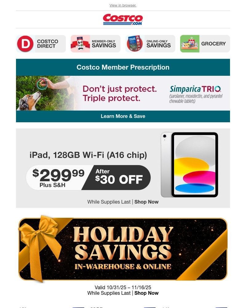 Screenshot of email with subject /media/emails/new-holiday-instant-savings-a5b615-cropped-2abfb7e1.jpg