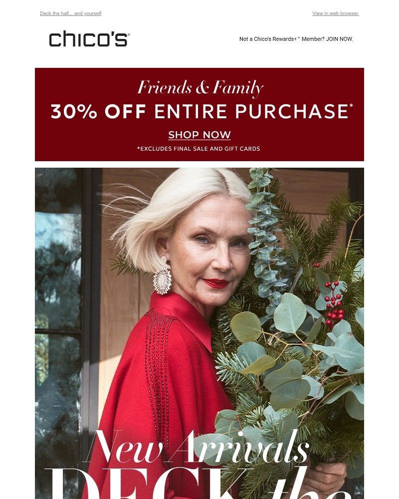 Screenshot of email with subject /media/emails/new-holiday-ready-arrivals-fd0fea-cropped-e0fb269c.jpg