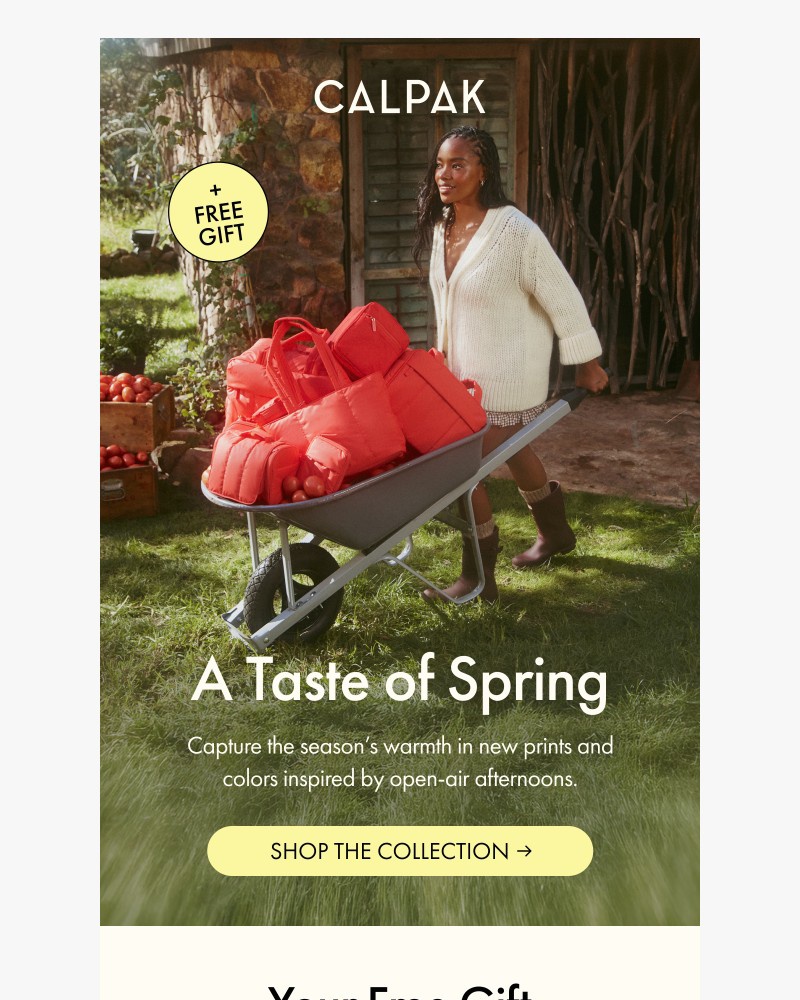 Screenshot of email with subject /media/emails/new-in-a-taste-of-spring-0cf821-cropped-e99ccc4f.jpg